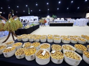 " ليوا للرطب" يستقبل 3.2 طن في يومه الأول