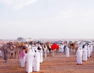 مزاينة سويحان بمهرجان الظفرة تسجل دخول 339 مطية في يومها الأول